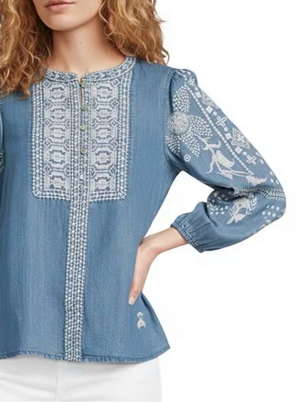 Tru luxe embroidered chambray top